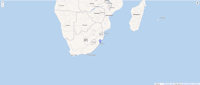 Durban_container_port_google_map